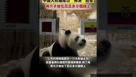 浙江队启程赴韩日备，足球赔率App，战亚冠对手，中东强队激战莱昂纳多！